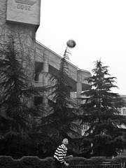 PB162200-12.jpg