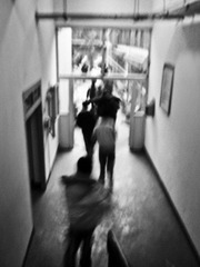 P1163446-52.jpg