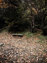 R0020640
