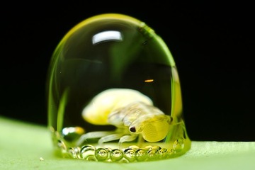 IMG_35742.jpg