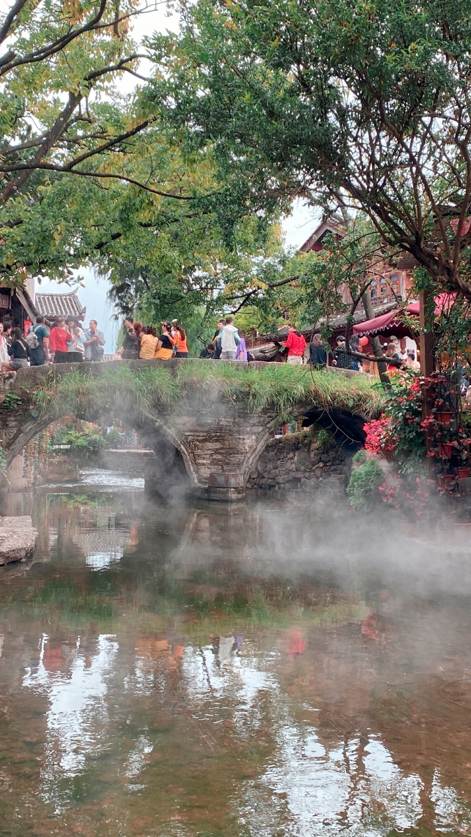 丽江99715的大石桥上 - 红藤