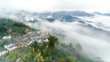 DJI_0453