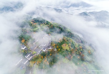 DJI_0465