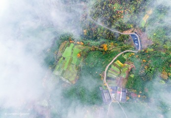 DJI_0468