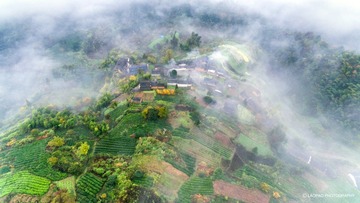 DJI_0489