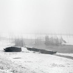 IMG_9706.jpg