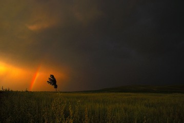 4ECE053C3AB0C8A1E0C4AFF4BFF5411B.jpg