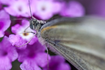 IMG_9899-1