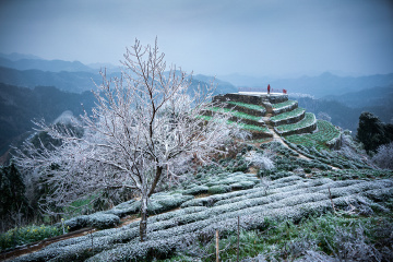 树挂冰花.../ 皖南石潭