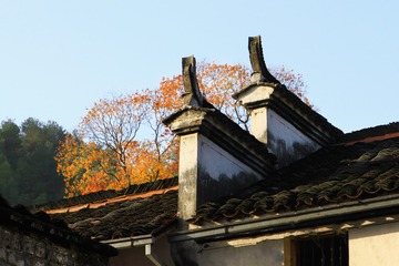 顶呱呱...