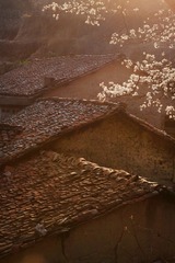 早春...