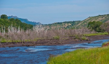 DSC_0525.jpg
