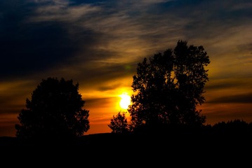 DSC_0736.jpg