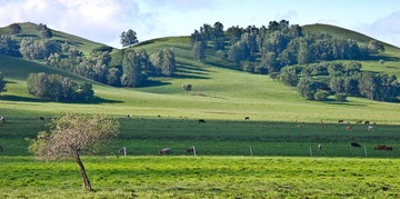 DSC_0210.jpg