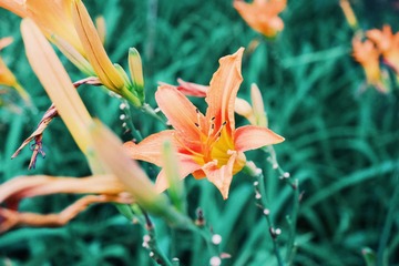 2019-07-11 07.58.28 2