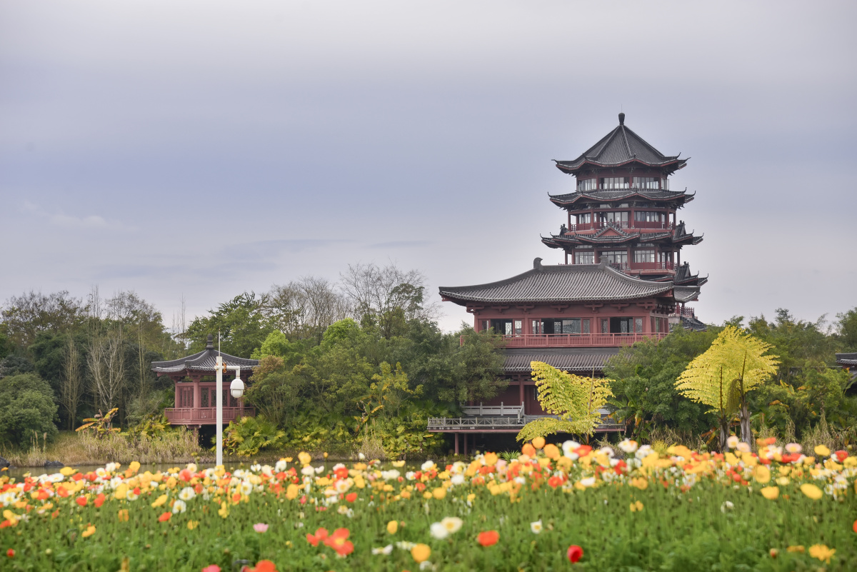 虞美人桂林园博园