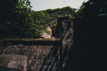 20140713-IMG_2887