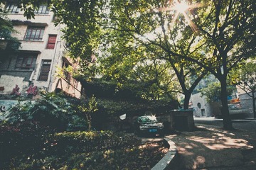 20140713-IMG_2928