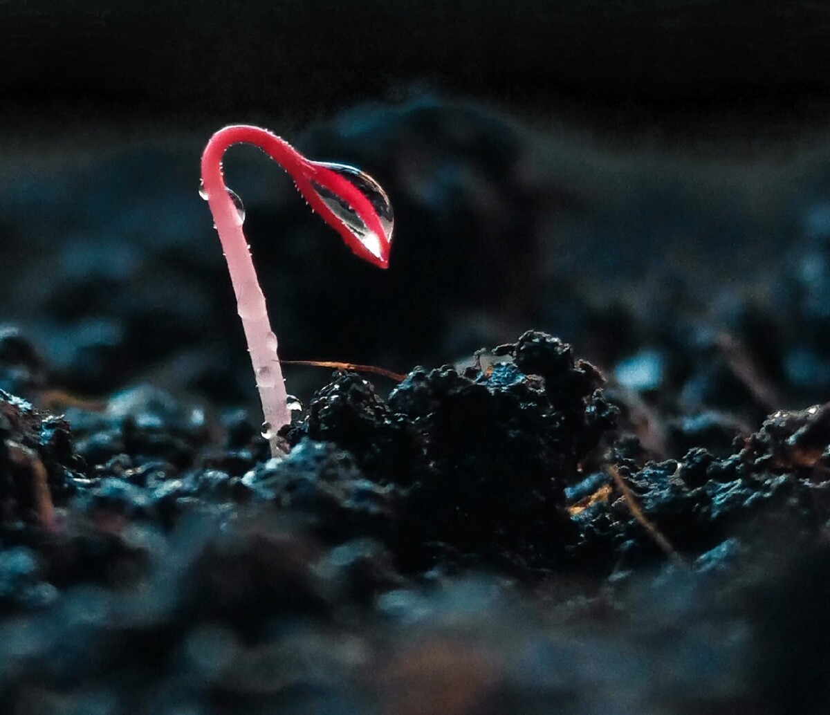 既然不满意那就修吧，一顿操作猛如虎，一看作品二百五?。嗯，好像还有点空。