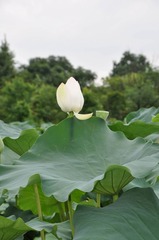 DSC_0012.jpg