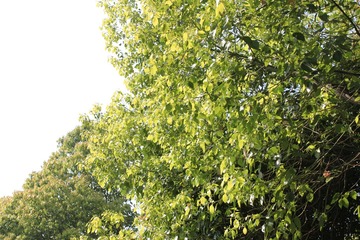 A92DB58B-F384-4DA9-A99D-B103E188467C/L0/001