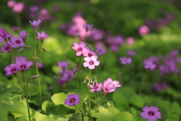 3D14CF48-671C-4B89-BE57-BEF4105D2EEC/L0/001