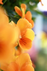 7C511268-36A9-4FDF-B1A0-A85A4CD6EE9B/L0/001