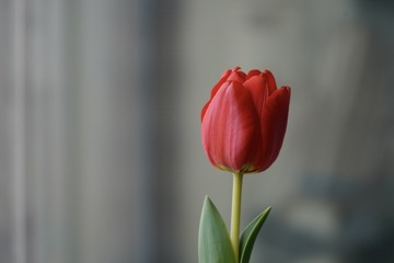 B2396E59-A523-4B35-B908-211688999BD9/L0/001