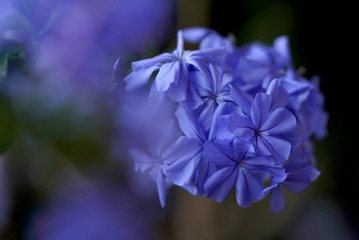 128E571F-1C66-4725-A6C1-A815C4D4F0ED/L0/001