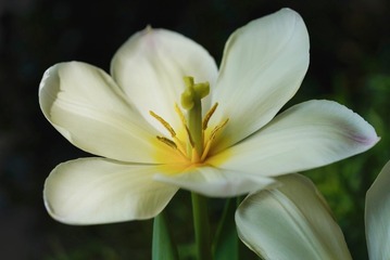 3F4D69FA-A229-462D-A79E-2BF9B0C3A177/L0/001