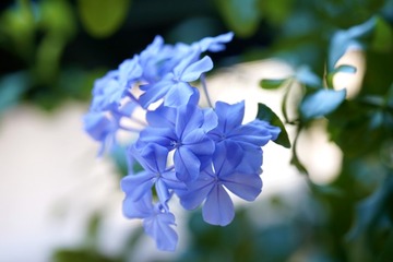 D276F443-1044-48F8-8E15-F850DB041311/L0/001