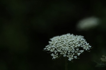 2BD078EE-3D37-47AD-97A3-6040A5121CD6/L0/001