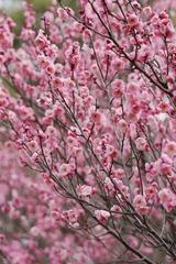 F9608A61-F3E7-43DB-856A-4823745BFB65/L0/001