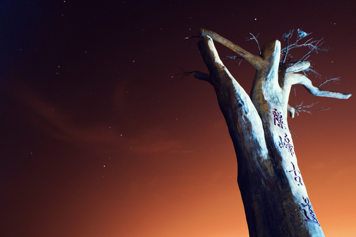 20200321黑麋峰星空