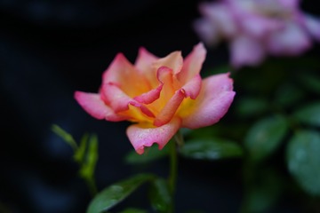 001