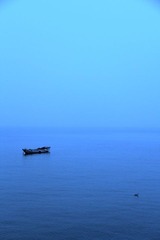 浮游