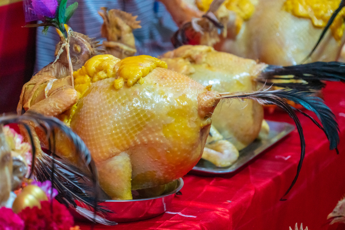 博鳌古镇闹元宵乐城肥鸡赛