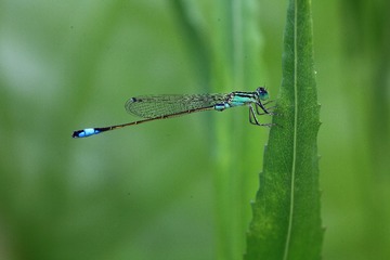 IMG_6882.JPG