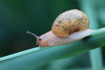 IMG_0166.JPG