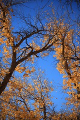 IMG_3062.JPG