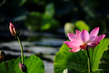 IMG_6377.JPG
