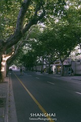 DSC05378.jpg