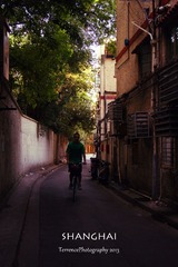 DSC05381.jpg