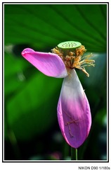 dsc_0714_conew1