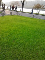 2013-04-06 16.58.10.jpg