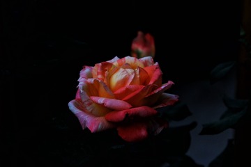 122061