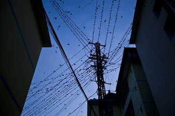 西双版纳