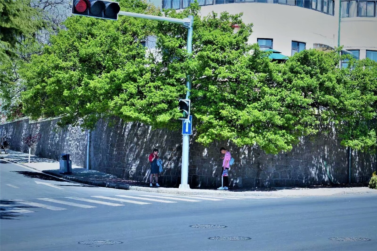 青岛街头的抓拍,两个偶遇的路人大概想不到他们如此的像一对恋人!