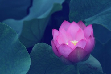 001