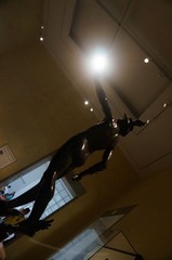 DSC06430.JPG